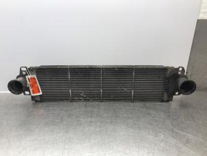 Gebruikte Intercooler Volkswagen Multivan T5 (7E/7HC/7HF/7HM) 2.5 TDi Prijs op aanvraag aangeboden door Autosloperij Alexander