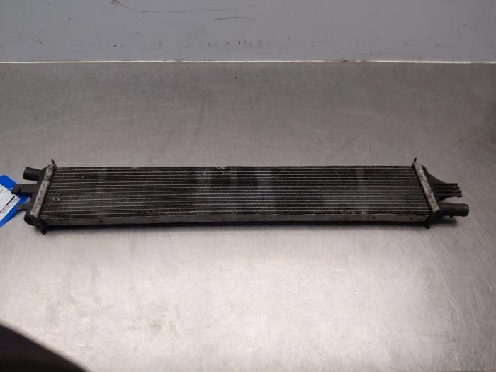 Gebruikte Intercooler Renault Master III (MA/MB/MC/MD/MH/MF/MG/MH) 2.3 dCi 150 16V Prijs op aanvraag aangeboden door Autosloperij Alexander