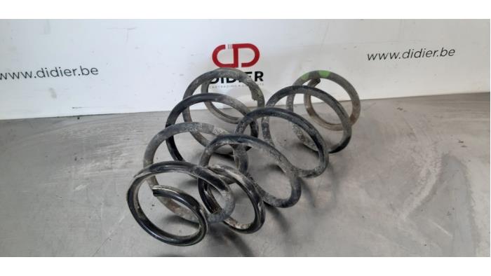 Rear coil spring