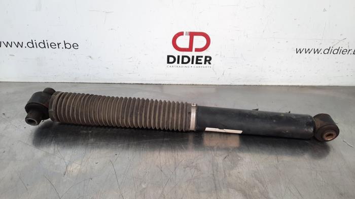 Amortisseur arrière gauche Ford Focus