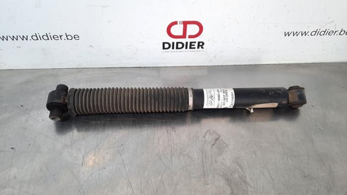 Amortisseur arrière droit Ford Focus