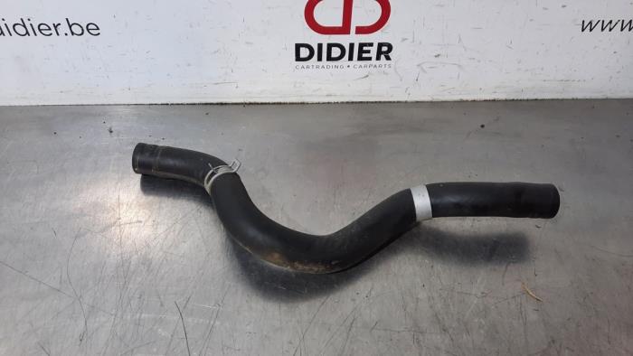 Radiateurslang Kia Rio