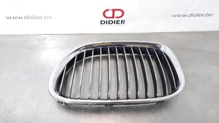 Grille BMW 7-Serie