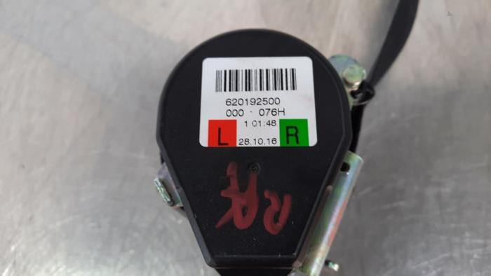 Cintura di sicurezza posteriore destra Skoda Octavia