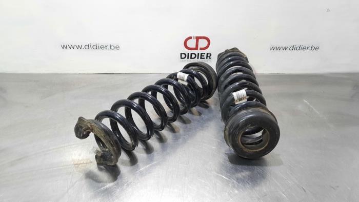 Rear coil spring