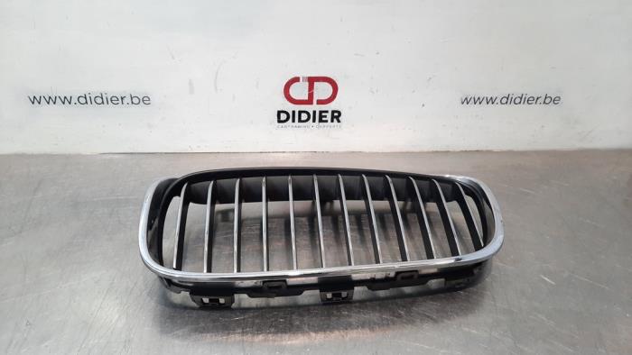 BMW 2-Serie Grille