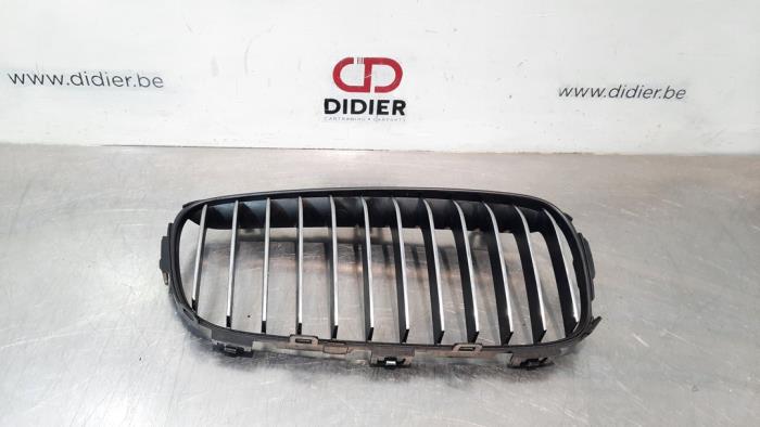 BMW 2-Serie Grille