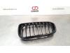 BMW 1 serie (F20) 118i 1.5 TwinPower 12V Grille