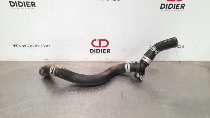 Radiatorslang Toyota C-HR