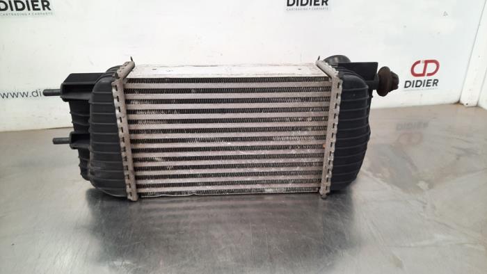 Intercooler Nissan Pulsar