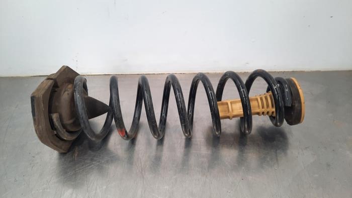 Rear coil spring Renault Megane