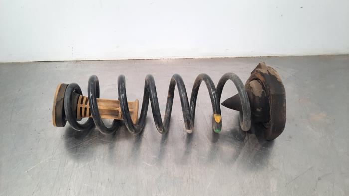 Rear coil spring Renault Megane