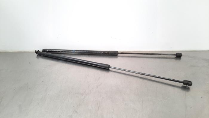 Set of bonnet gas struts