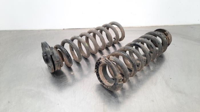 Rear coil spring