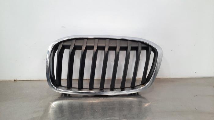 Grille BMW 2-Serie