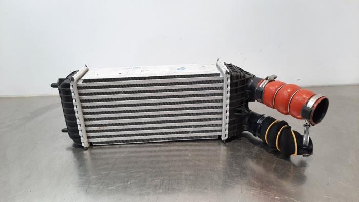 Intercooler Citroen C-Elysee