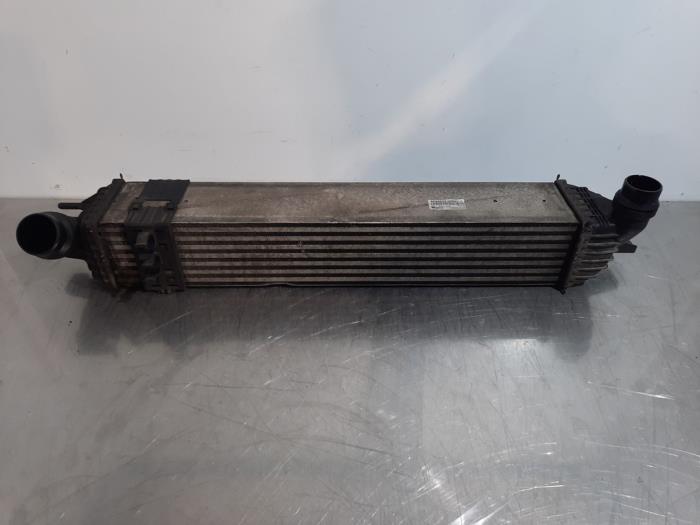 Intercooler Renault Laguna