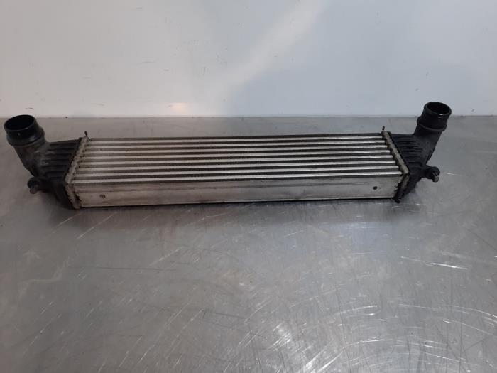 Intercooler Fiat Tipo
