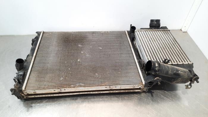 Koelerset Renault Grand Scenic