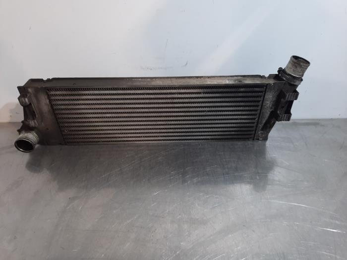 Intercooler Renault Megane