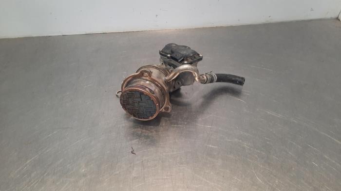 Throttle body Renault Kangoo