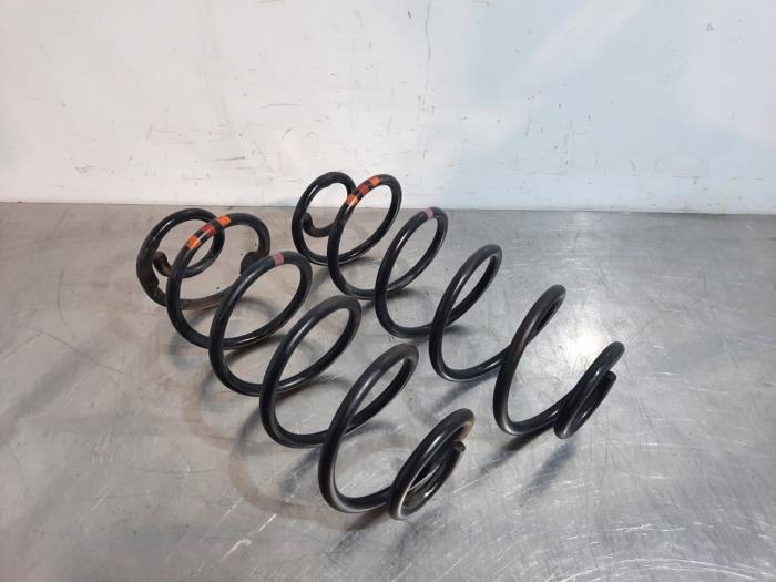 Schroefveer achter Peugeot 207