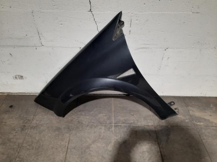 Schermo anteriore sinistro Renault Megane