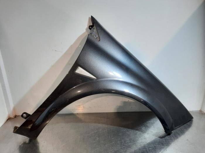 Schermo anteriore destro Renault Megane
