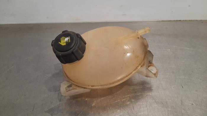 Expansievat Renault Clio