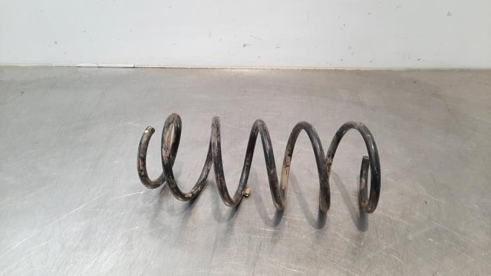 Rear coil spring