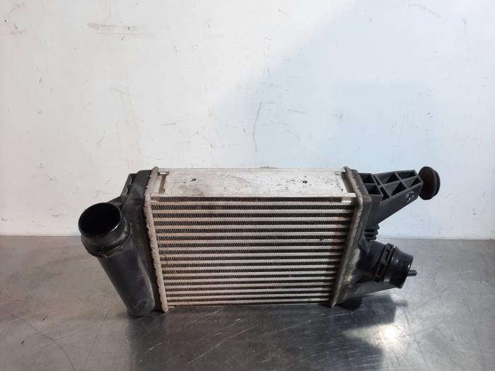 Intercooler Nissan Pulsar