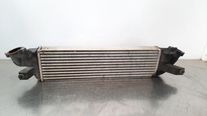 Intercooler Fiat Fullback