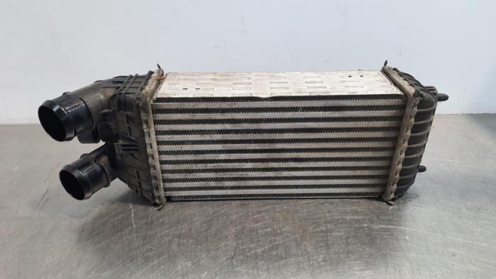 Intercooler Citroen C3