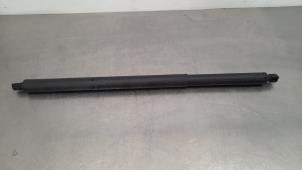 Gebruikte Achterklep motor Mercedes GLE (V167) 450 EQ Boost 3.0 24V 4-Matic Prijs € 96,80 Inclusief btw aangeboden door Autohandel Didier