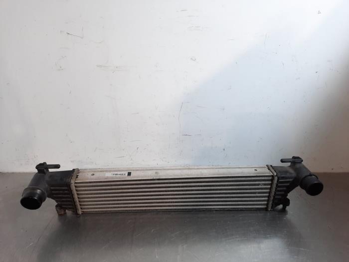 Intercooler Fiat Tipo