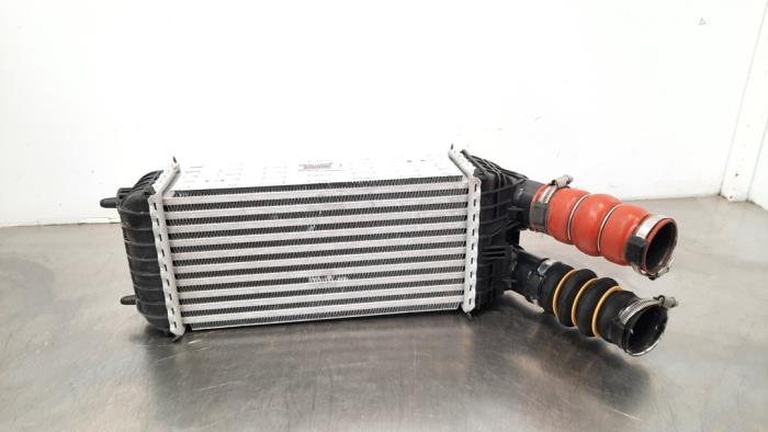 Intercooler Citroen C3