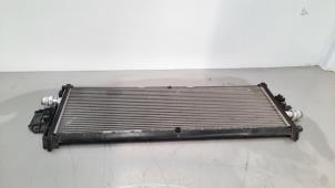 Gebruikte Radiateur Tesla Model 3 EV Prijs € 102,85 Inclusief btw aangeboden door Autohandel Didier