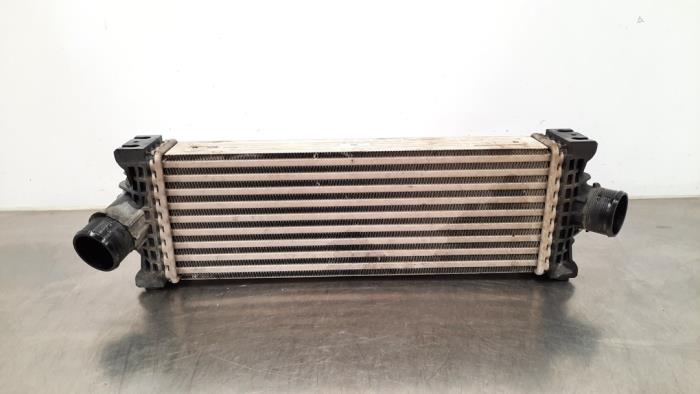 Intercooler Ford Transit