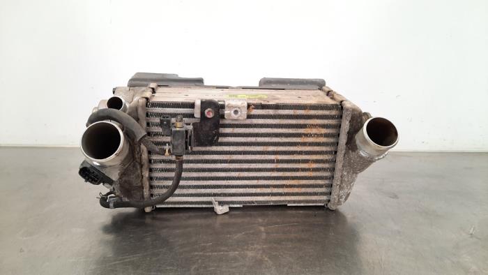Intercooler Kia Stonic