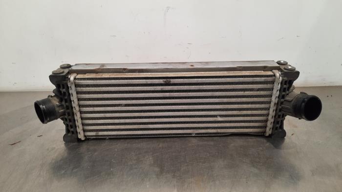 Intercooler Ford Transit Custom