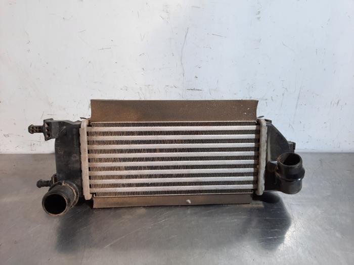 Intercooler Fiat Panda
