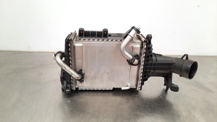 Intercooler Mercedes S-Klasse