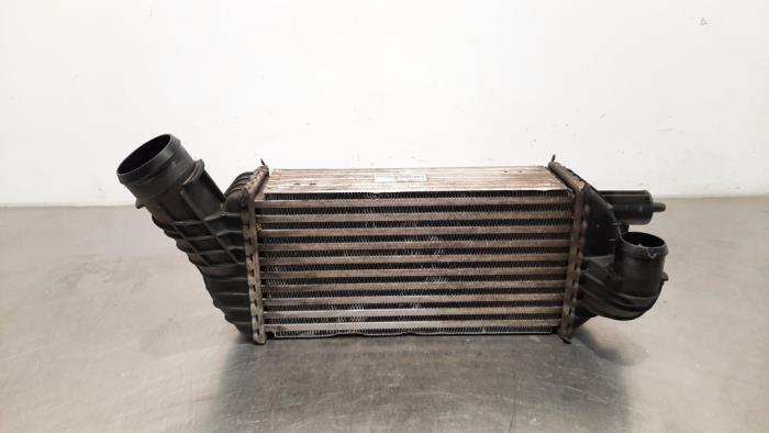 Intercooler Citroen DS4