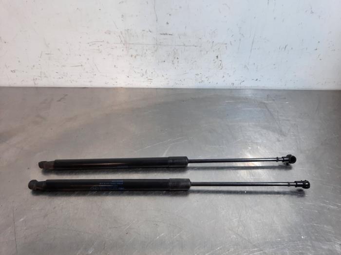 Set of gas struts for boot Renault Scenic