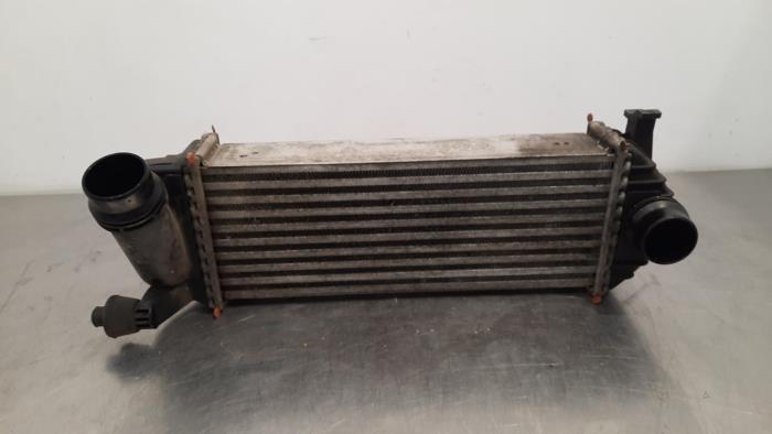 Intercooler Mercedes Citan