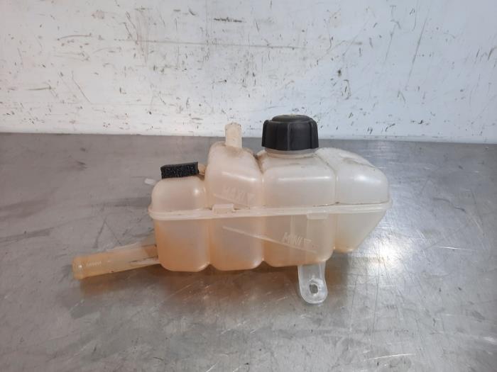 Expansion vessel Renault Megane