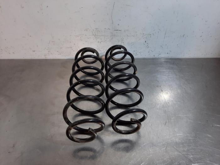 Rear coil spring