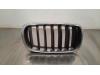 BMW X5 (F15) sDrive 25d 2.0 Grille