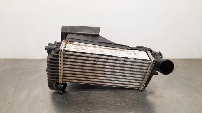 Intercooler Ford Transit Connect