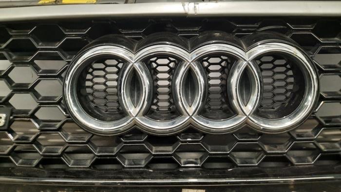 Grille van een Audi RS 3 Sportback (8VA/8VF) 2.5 TFSI 20V Quattro Performance 2015